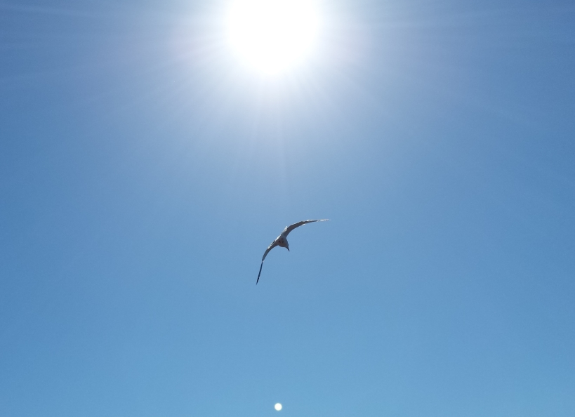 (c) M.Hubl-Moussa, Fly 2015